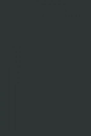 FARROW AND BALL BLACK BLUE NO. 95 PAINT